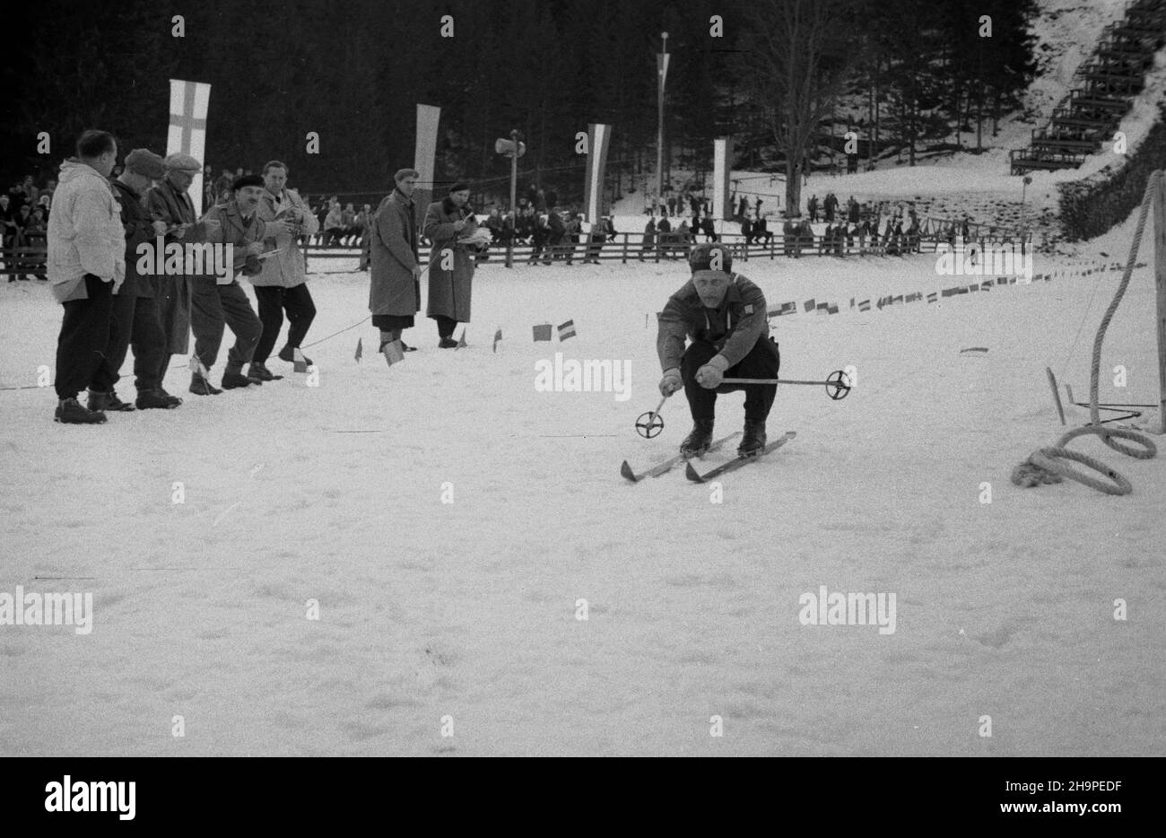 Zakopane, 1949-02-24. Od 23 lutego do 3 marca odbywa³y siê Miêdzynarodowe Zawody Narciarskie o Puchar Tatr. Zgromadzi³y one kilkudziesiêciu sportowców z Polski, Bu³garii, Czechos³owacji, Finlandii, Rumunii i Wêgier. Pierwszego dnia zawodów odby³ siê bieg mê¿czyzn na 18 kilometrów, zaliczany do kombinacji norweskiej. Start i meta znajdowa³y siê stadionie Pod Krokwi¹. Zwyciê¿y³ Jaroslav Cardal z Czechos³owacji. pw PAP Zakopane, Feb. 24, 1949. International Skiing Competition for the Cup of the Tatra Mountains was held on February 23 to March 3. The competition brought together several doz Stock Photo