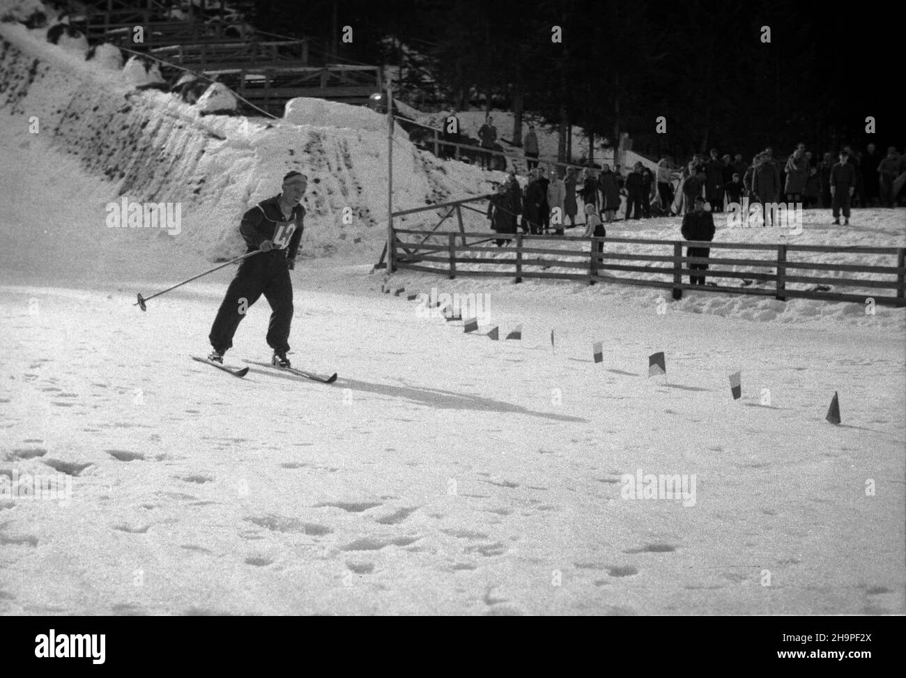 Zakopane, 1949-02-24. Od 23 lutego do 3 marca odbywa³y siê Miêdzynarodowe Zawody Narciarskie o Puchar Tatr, z udzia³em kilkudziesiêciu sportowców z Polski, Bu³garii, Czechos³owacji, Finlandii, Rumunii i Wêgier. Bieg mê¿czyzn na 18 kilometrów, zaliczany do kombinacji norweskiej, ze startem i met¹ na stadionie Pod Krokwi¹. Zwyciê¿y³ Jaroslav Cardal z Czechos³owacji. Nz. polski zawodnik Stanis³aw Bukowski na mecie biegu. pw PAP Zakopane, Feb. 24, 1949. The Tatra Mountain Cup International Skiing Competition was held on 23 February to March 3, bringing together several dozen competitors from Stock Photo