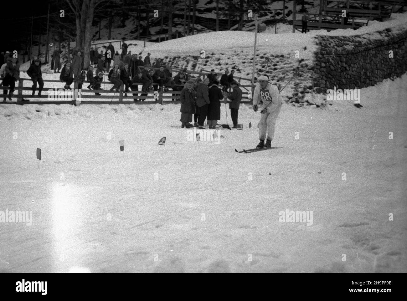 Zakopane, 1949-02-24. Od 23 lutego do 3 marca odbywa³y siê Miêdzynarodowe Zawody Narciarskie o Puchar Tatr, z udzia³em kilkudziesiêciu sportowców z Polski, Bu³garii, Czechos³owacji, Finlandii, Rumunii i Wêgier. Bieg mê¿czyzn na 18 kilometrów, zaliczany do kombinacji norweskiej, ze startem i met¹ na stadionie Pod Krokwi¹. Zwyciê¿y³ Jaroslav Cardal z Czechos³owacji. Nz. polski zawodnik Tadeusz Kwapieñ na trasie biegu. pw PAP Zakopane, Feb. 24, 1949. The Tatra Mountain Cup International Skiing Competition was held on 23 February to March 3, bringing together several dozen competitors from P Stock Photo