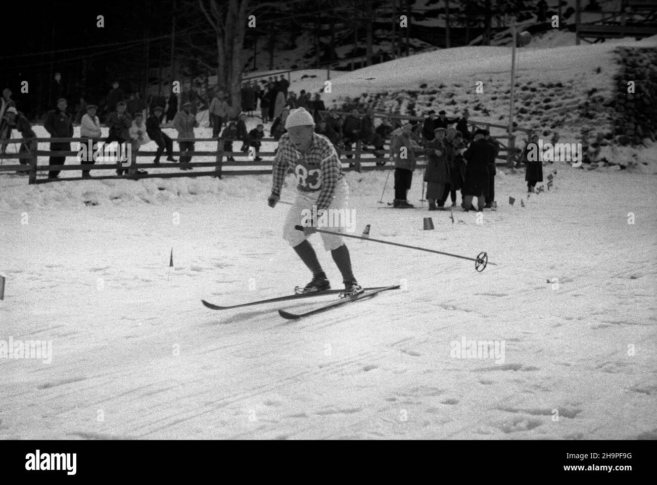 Zakopane, 1949-02-24. Od 23 lutego do 3 marca odbywa³y siê Miêdzynarodowe Zawody Narciarskie o Puchar Tatr, z udzia³em kilkudziesiêciu sportowców z Polski, Bu³garii, Czechos³owacji, Finlandii, Rumunii i Wêgier. Bieg mê¿czyzn na 18 kilometrów, zaliczany do kombinacji norweskiej, ze startem i met¹ na stadionie Pod Krokwi¹. Zwyciê¿y³ Jaroslav Cardal z Czechos³owacji. Nz. Stefan Kovalcik z Czechos³owacji na mecie biegu. pw PAP Zakopane, Feb. 24, 1949. The Tatra Mountain Cup International Skiing Competition was held on 23 February to March 3, bringing together several dozen competitors from P Stock Photo