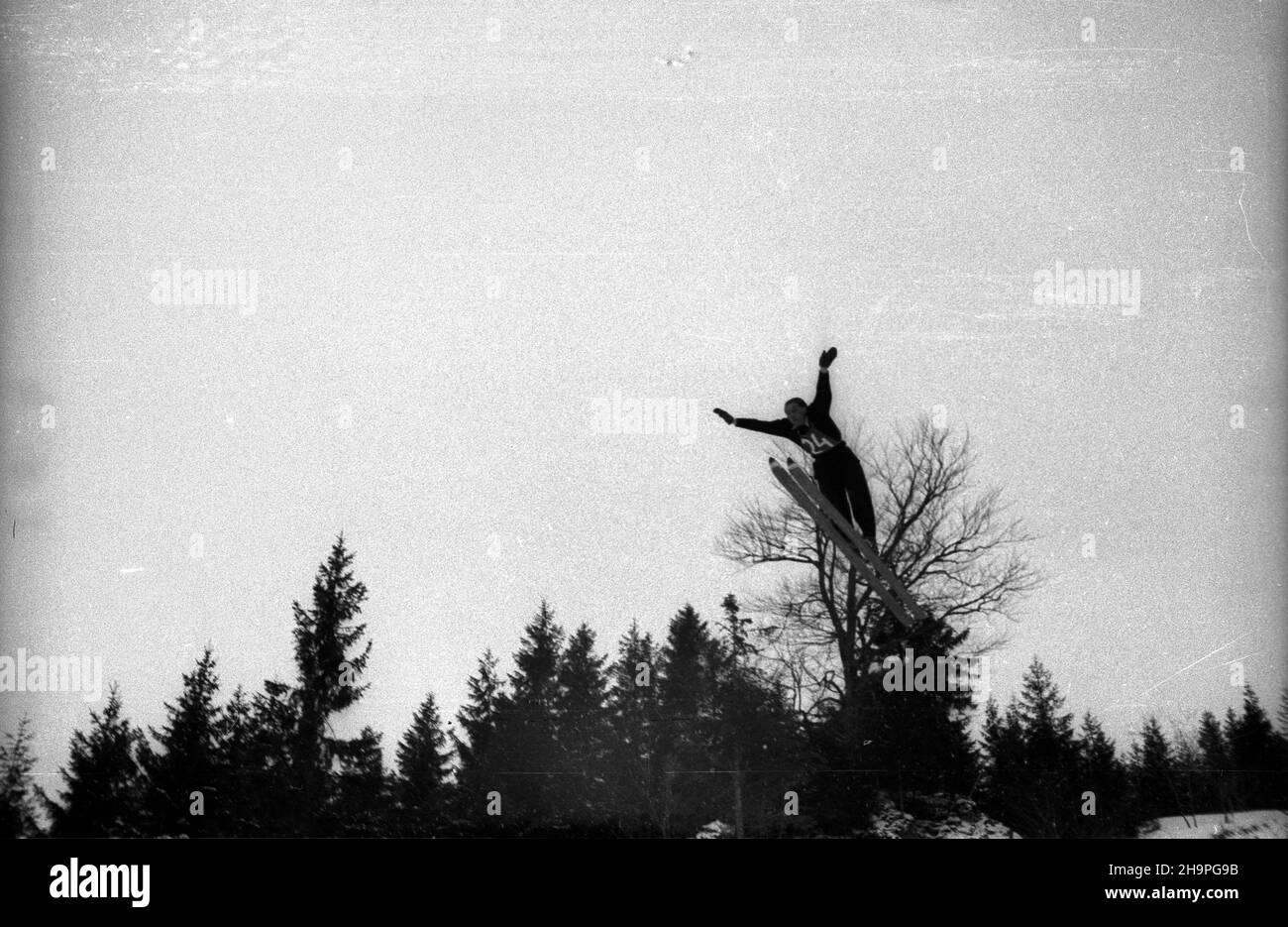 Zakopane, 1949-02-25. Od 23 lutego do 3 marca odbywa³y siê Miêdzynarodowe Zawody Narciarskie o Puchar Tatr. Zgromadzi³y one kilkudziesiêciu sportowców z Polski, Bu³garii, Czechos³owacji, Finlandii, Rumunii i Wêgier. Drugiego dnia zawodów odby³ siê konkurs skoków na Wielkiej Krokwi, zaliczanych do kombinacji norweskiej. Nz. skacze w trzeciej serii Jan Kula z Polski, zwyciêzca konkursu. pw PAP Zakopane, Feb. 25, 1949. International Skiing Competition for the Cup of the Tatra Mountains was held on February 23 to March 3. The competition brought together several dozen sportsmen from Poland, Stock Photo