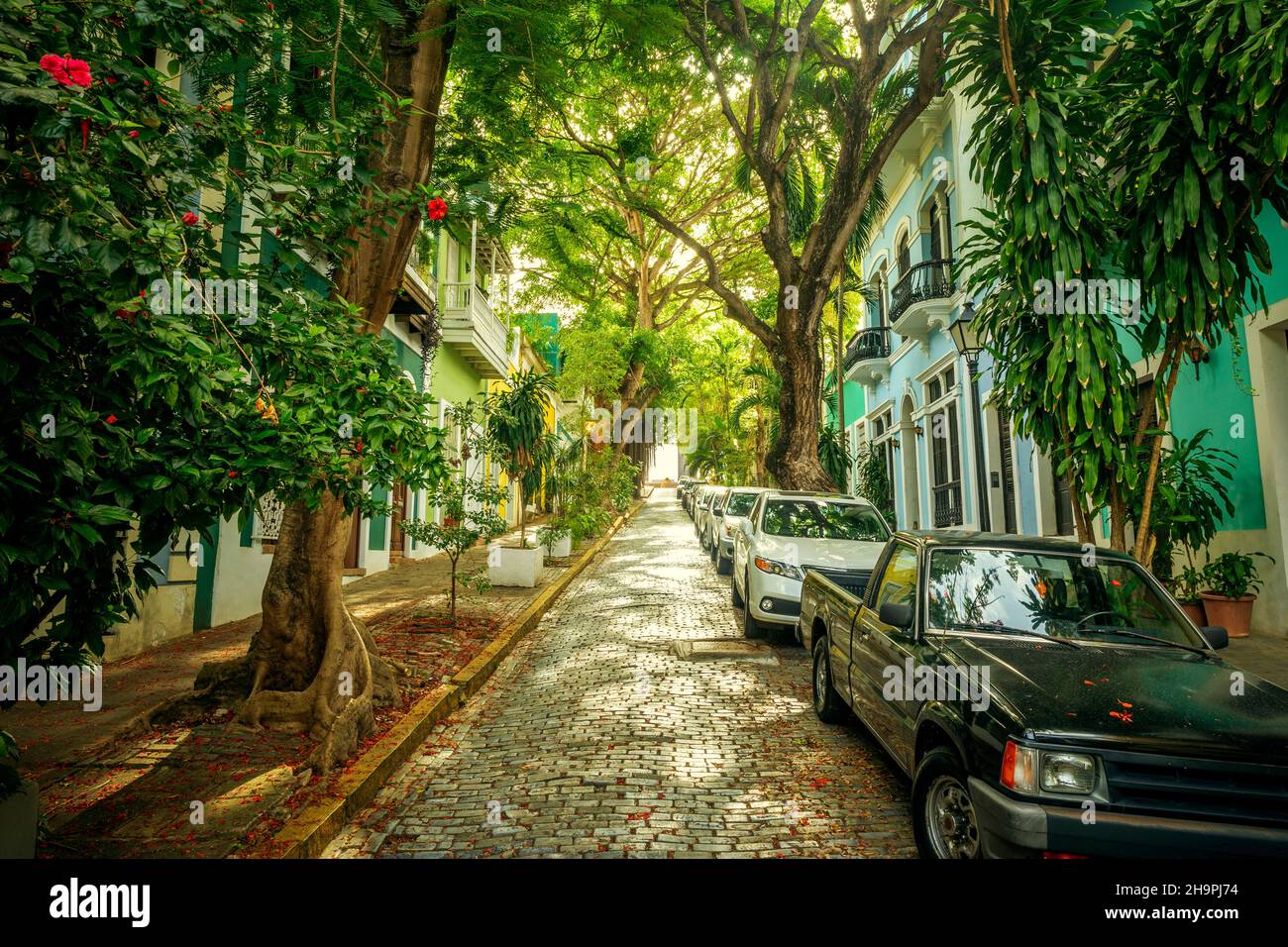 Colorful houses in old San Juan, Puerto Rico Stock Photo - Alamy