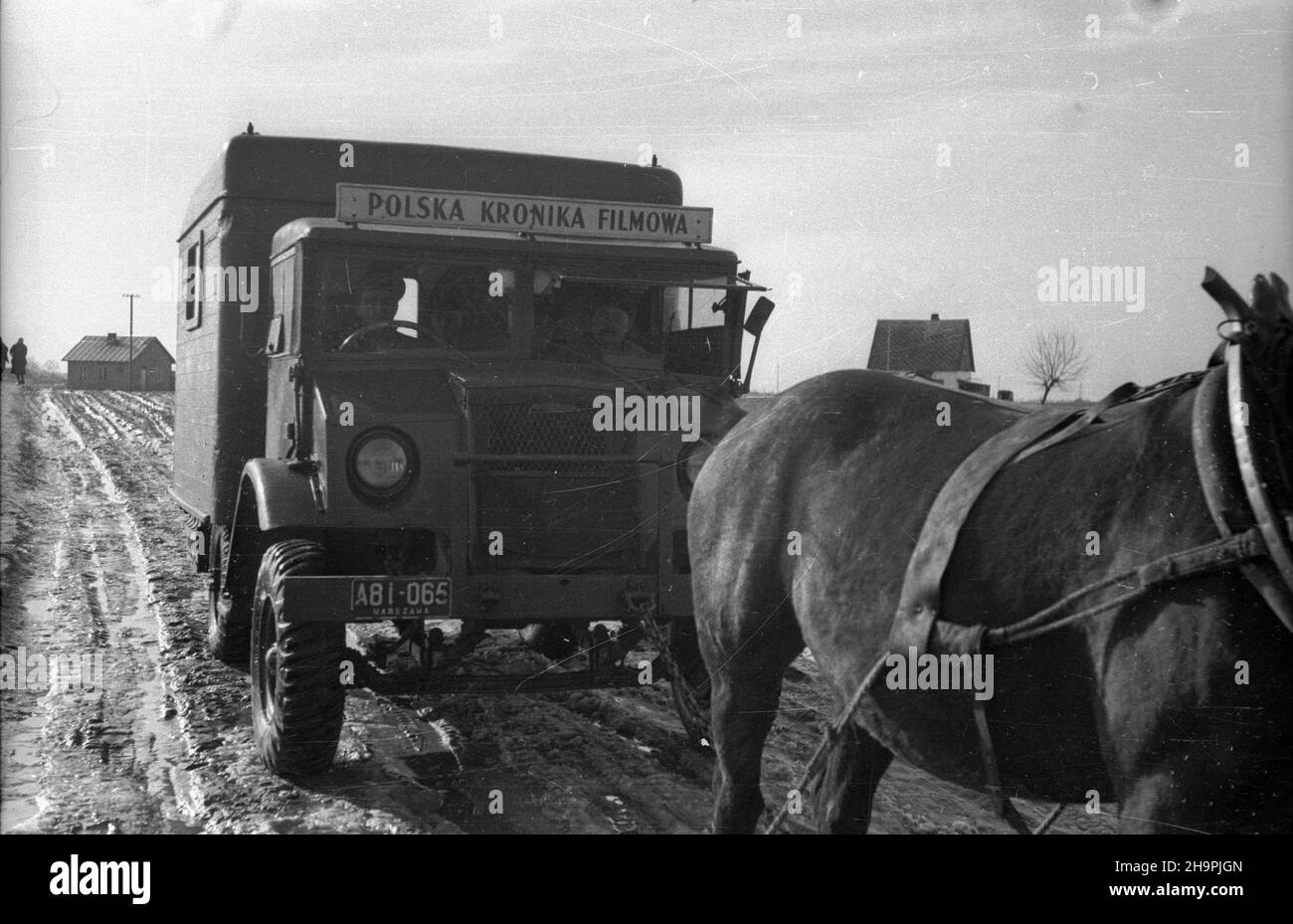 Polska, 1949-03. Topniej¹cy œnieg utrudnia poruszanie siê po drogach ca³ego kraju. Nz. samochód Polskiej Kroniki Filmowej (PKF), który utkn¹³ w poœniegowym b³ocie, trzeba by³o wyci¹gn¹æ koñmi.  mw  PAP    Dok³adny dzieñ wydarzenia nieustalony.      Poland, March 1949. Melting snow hindered road traffic across Poland. Pictured: horses were used to get out a Polish Newsreel (PKF) car which got stuck in mud.   mw  PAP Stock Photo
