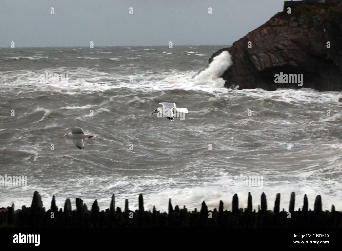 Storm Barra hits Ilfracombe - North Devon, UK Stock Photo