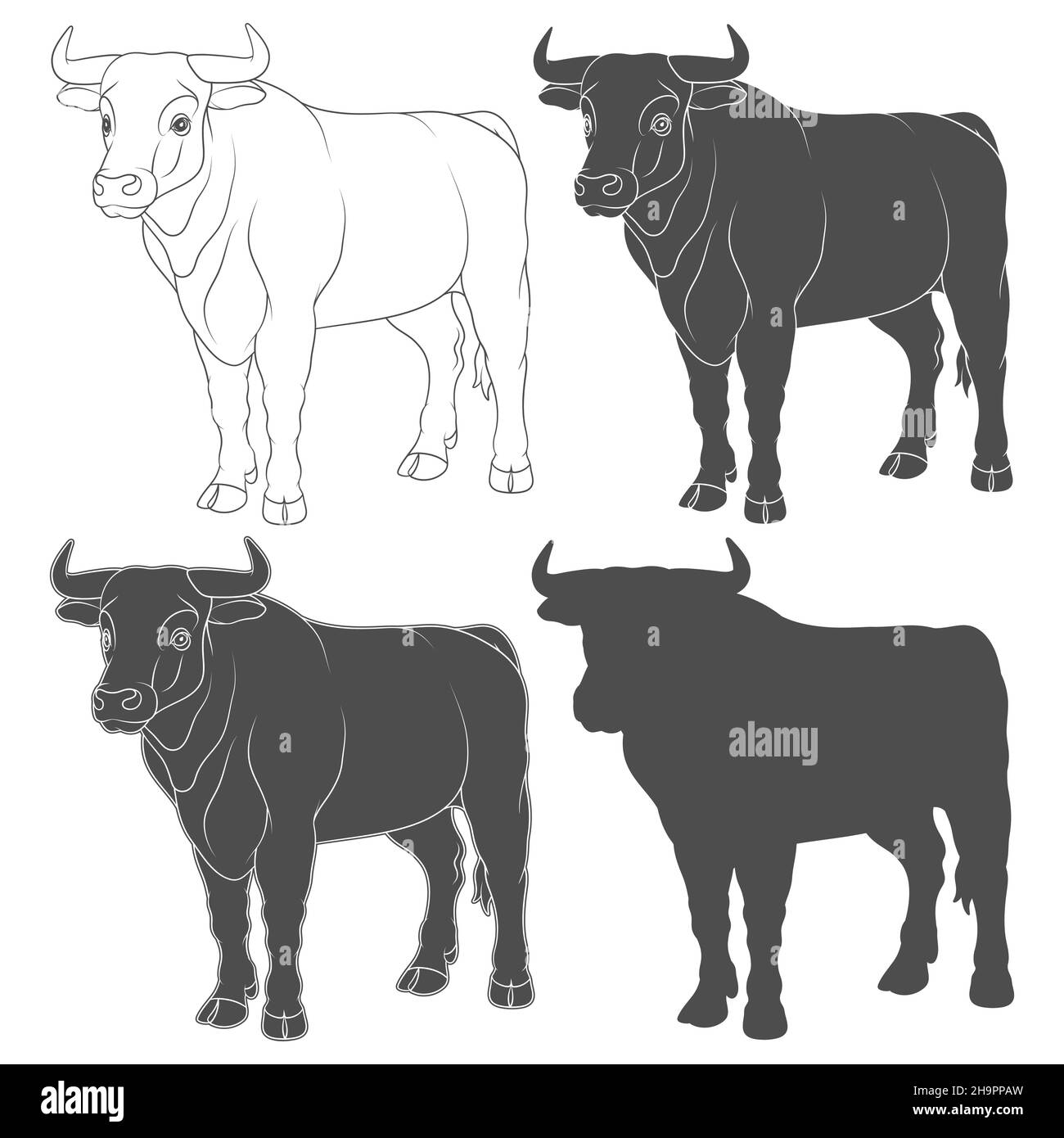 Set of black and white illustrations with a bull, a cow. Isolated vector objects on a white background. Stock Vector