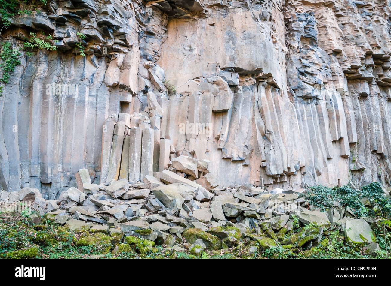 vertical lava columns, old lava flow, basalt column, hexagonal shape, Sant Joan les Fonts, Garrotxa, Catalonia, Spain Stock Photo