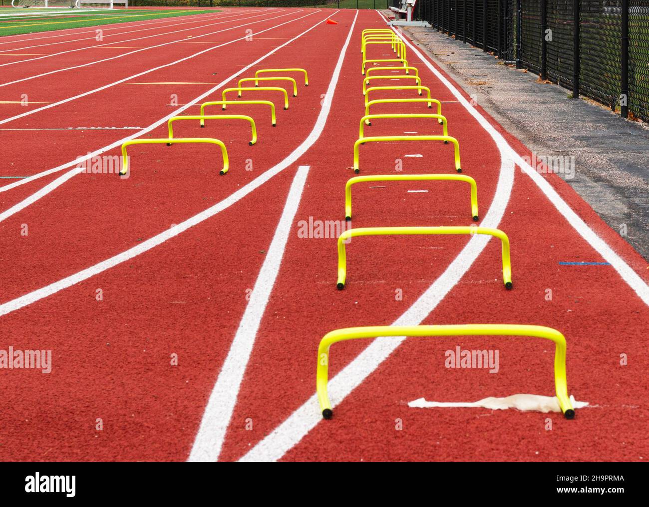 Two lanes of small yellow mini banana hurdles are set up on a track for