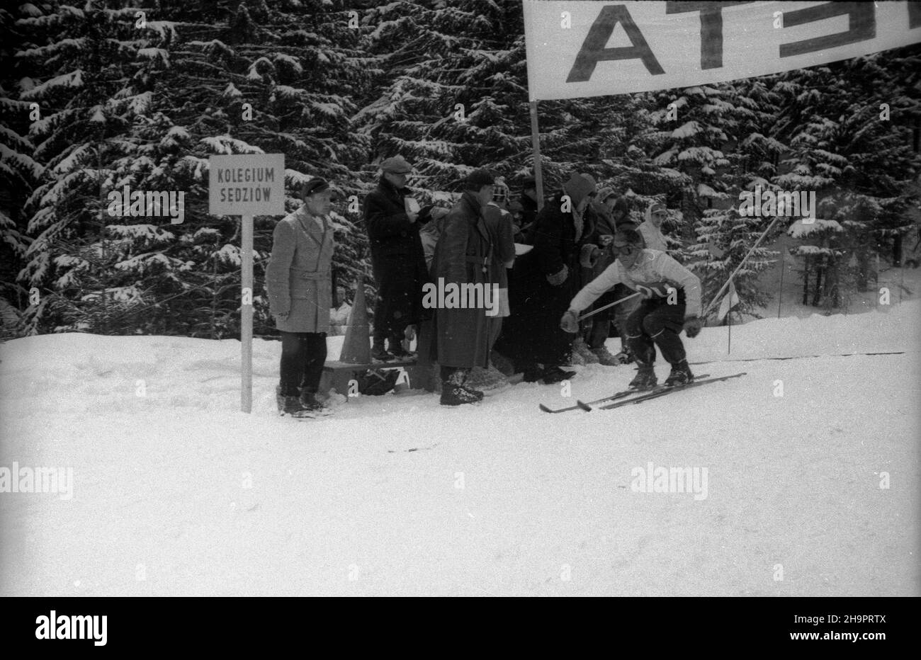 Zakopane, 1949-03-02. W Miêdzynarodowych Zawodach Narciarskich o Puchar Tatr wziê³o udzia³ przesz³o 250 zawodników i zawodniczek reprezentuj¹cych szeœæ pañstw: Czechos³owacjê, Wêgry, Rumuniê, Bu³gariê, Finlandiê i Polskê. Konkurencje alpejskie by³y utrudnione przez nag³e pogorszenie pogody, czêœæ konkurencji zosta³a powtórzona. Nz. z lewej stanowisko sêdziowskie, nowoœci¹ w zawodach by³o mierzenie czasu przy pomocy elektronicznych chronometrów. uu PAP Zakopane, March 2, 1949. The Tatra Mountain Cup International Skiing Competition brought together over 250 competitors from 6 countries: C Stock Photo