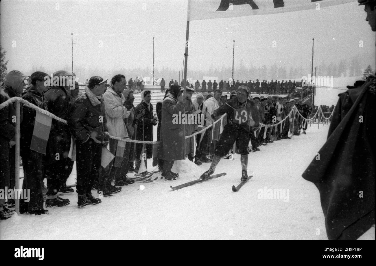 Zakopane, 1949-03-03. Miêdzynarodowe Zawody Narciarskie o Puchar Tatr (23 II-3 III). Meta biegu na 30 km na stadionie pod Krokwi¹. Nz. zwyciêzca turnieju Jaroslav Cardal z Czechos³owacji. ka  PAP      Zakopane, March 3, 1949. The International Skiing Tournement for the Tatra Mountains Cup (February 23 -March 3). The finishing line of the 30-kilometre cross country at the sport stadium under Krokiew. Pictured: winner of the tournement Jaroslav Cardal from Czechoslovakia.   ka  PAP Stock Photo