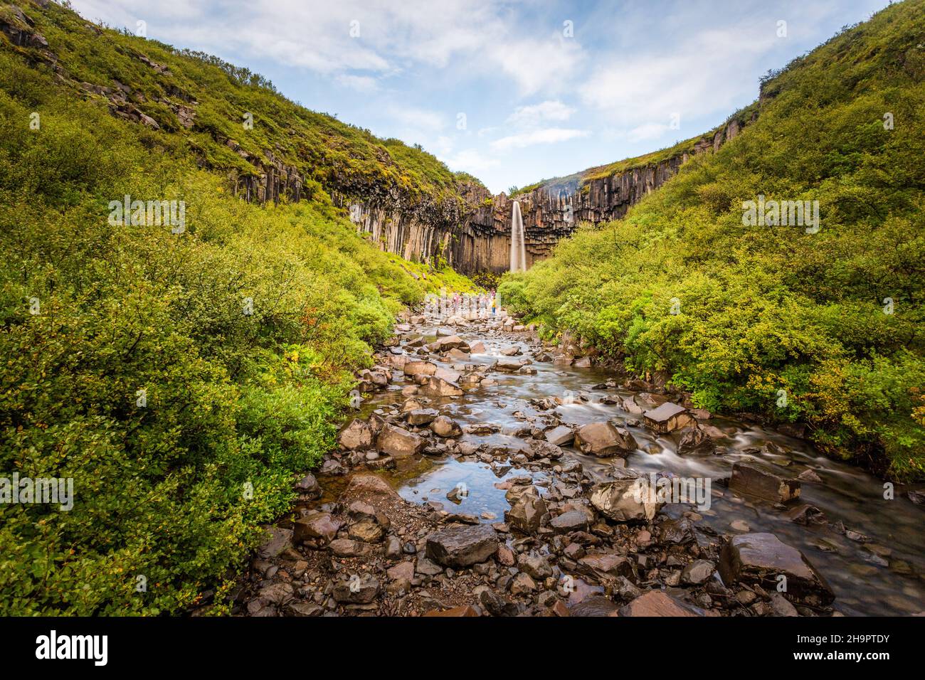 Svartifoss waterfall, detail of the upper part of the most beautiful waterfall in southern Iceland Stock Photo