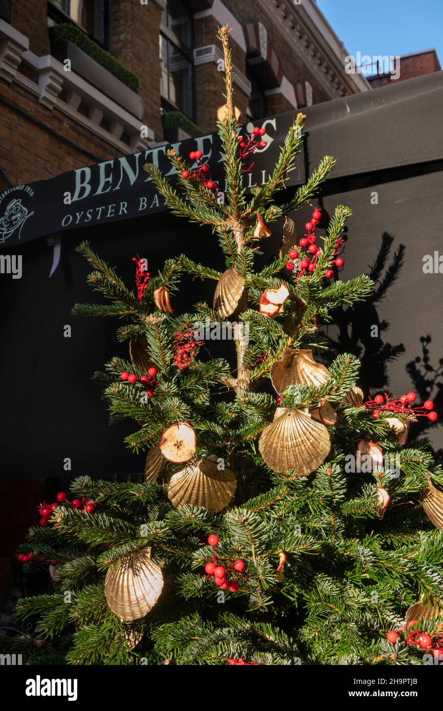 UK, England, London, Swallow Street, Bentley’s Oyster Restaurant, gold shell decorations on Christmas tree Stock Photo