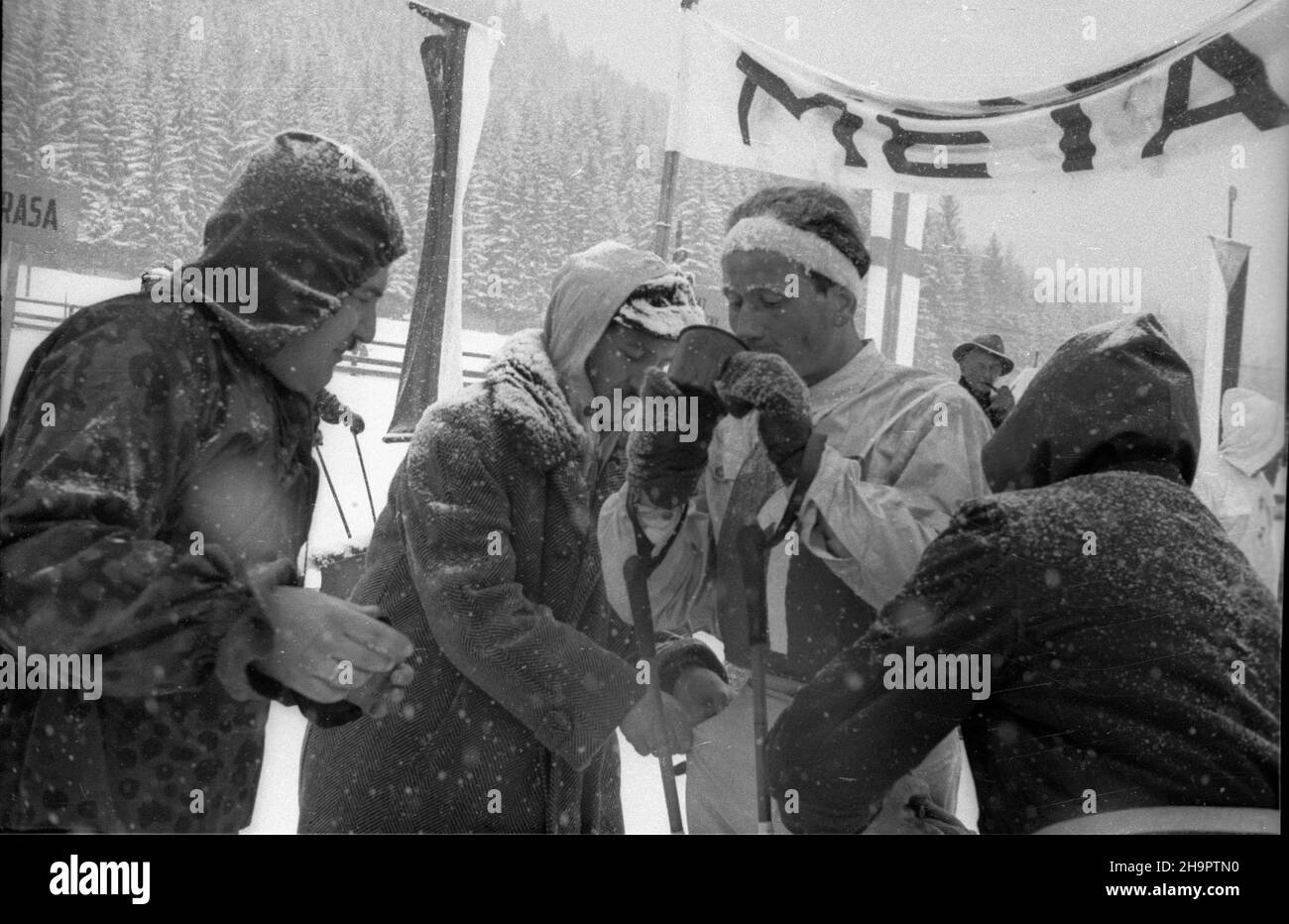 Zakopane, 1949-03-03. Miêdzynarodowe Zawody Narciarskie o Puchar Tatr (23 II-3 III). Meta biegu na 30 km na stadionie pod Krokwi¹. Nz. zawodnik rumuñski Ion Lica. ka PAP Zakopane, March 3, 1949. The International Skiing Tournement for the Tatra Mountains Cup (February 23 -March 3). The finishing line of the 30-kilometre cross country at the sport stadium under Krokiew. Pictured: Romanian's Ion Lica. ka PAP Stock Photo