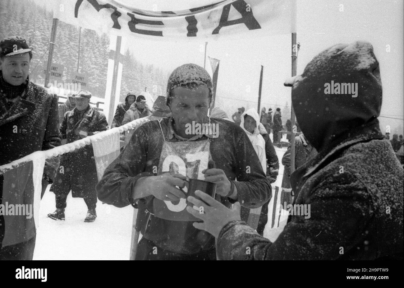 Zakopane, 1949-03-03. Miêdzynarodowe Zawody Narciarskie o Puchar Tatr (23 II-3 III). Meta biegu na 30 km na stadionie pod Krokwi¹. Nz. Frantisek Balvin z Czechos³owacji, zdobywca IV miejsca. ka  PAP      Zakopane, March 3, 1949. The International Skiing Tournement for the Tatra Mountains Cup (February 23 -March 3). The finishing line of the 30-kilometre cross country at the sport stadium under Krokiew. Pictured: Frantisek Balvin from Czechoslovakia, the winner of the 4th place.   ka  PAP Stock Photo