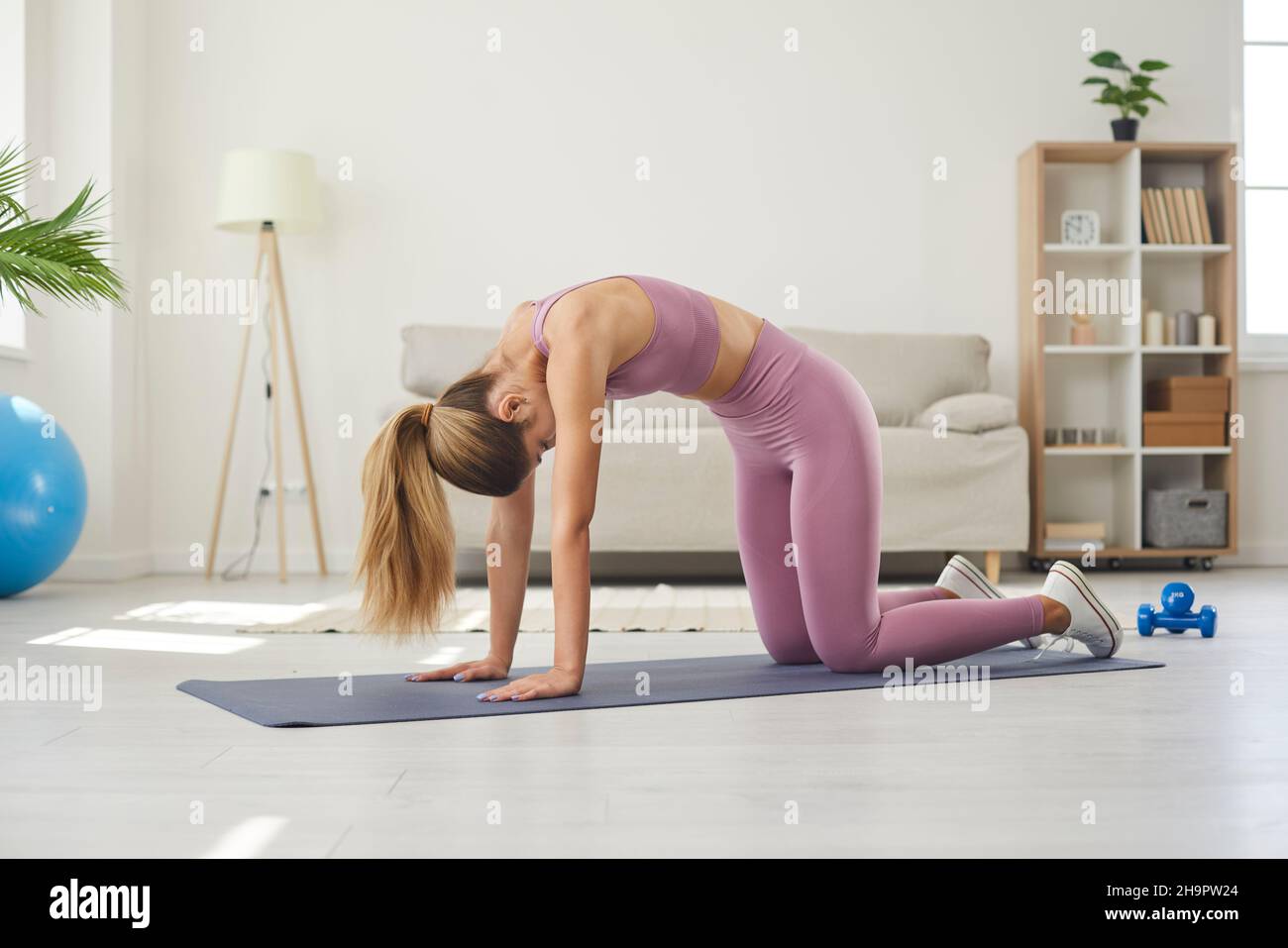 Cat cow workout hotsell