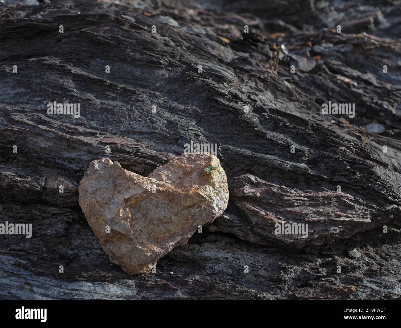 Heart shaped stone in rock wall, heart stone, heart of stone, heart of nature, natural heart, heart shape, symbol of love, sign of love, love symbol Stock Photo