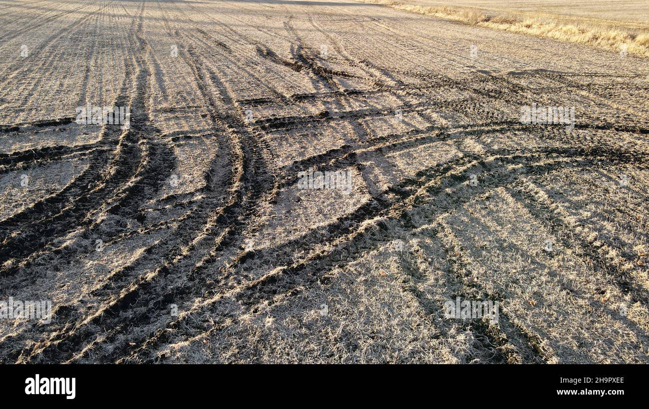 Tire Tracks in Agricultural Field Stock Photo