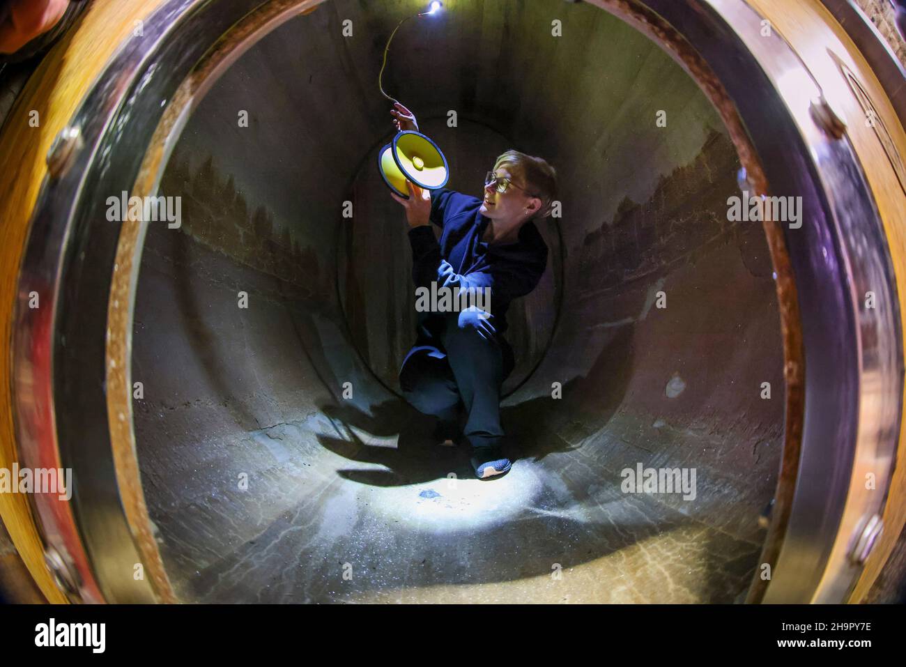Freyburg, Germany. 08th Dec, 2021. Cellar master Kathleen Romberg installs a sub-wine loudspeaker in an oak barrel in the Freyburg vintners' association. In a trial, about 2700 liters of Pinot Gris are to be sounded with classical music via a loudspeaker. The sound waves are supposed to have a positive effect on the taste of the wine during its ripening. In April 2022, the wines will then be compared to unplayed ones in a blind tasting. Then it will become clear if the unusual method was successful. Credit: Jan Woitas/dpa-Zentralbild/dpa/Alamy Live News Stock Photo