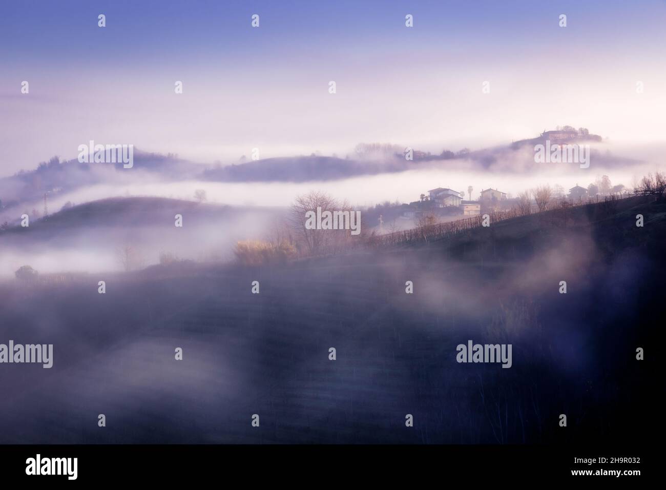 Sunrise over the vineyards, Canale, Province of Cuneo, Piedmont, Italy Stock Photo