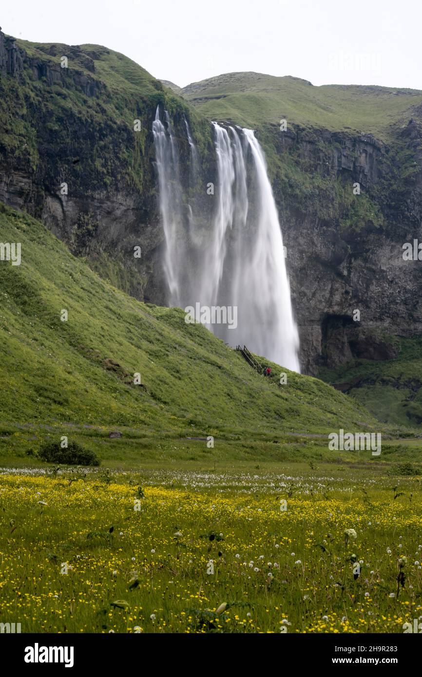 Seljalandsfoss icelandic waterfall hi-res stock photography and images ...
