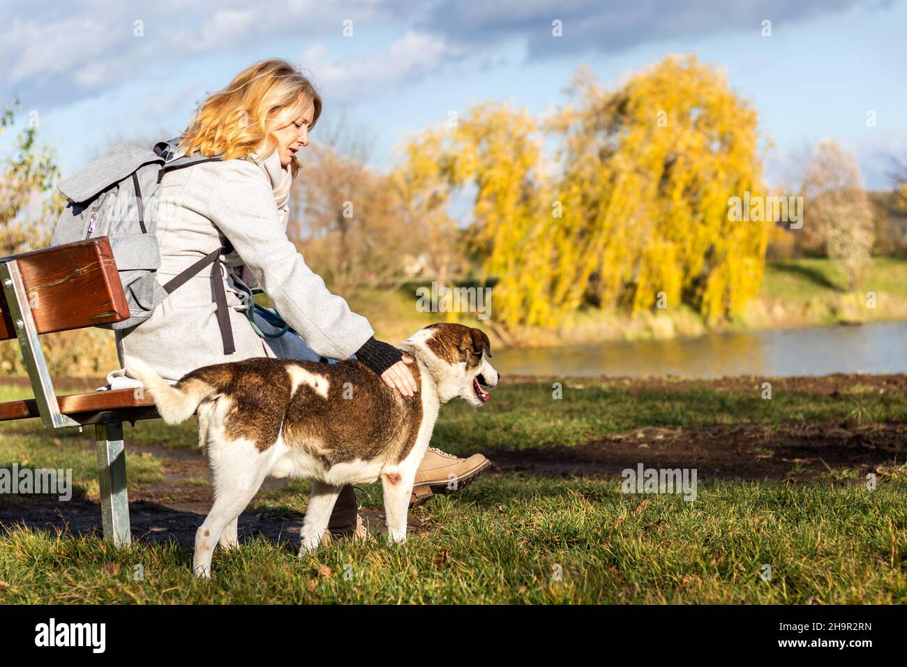 Woman sitting on bench with dog hi-res stock photography and images - Alamy