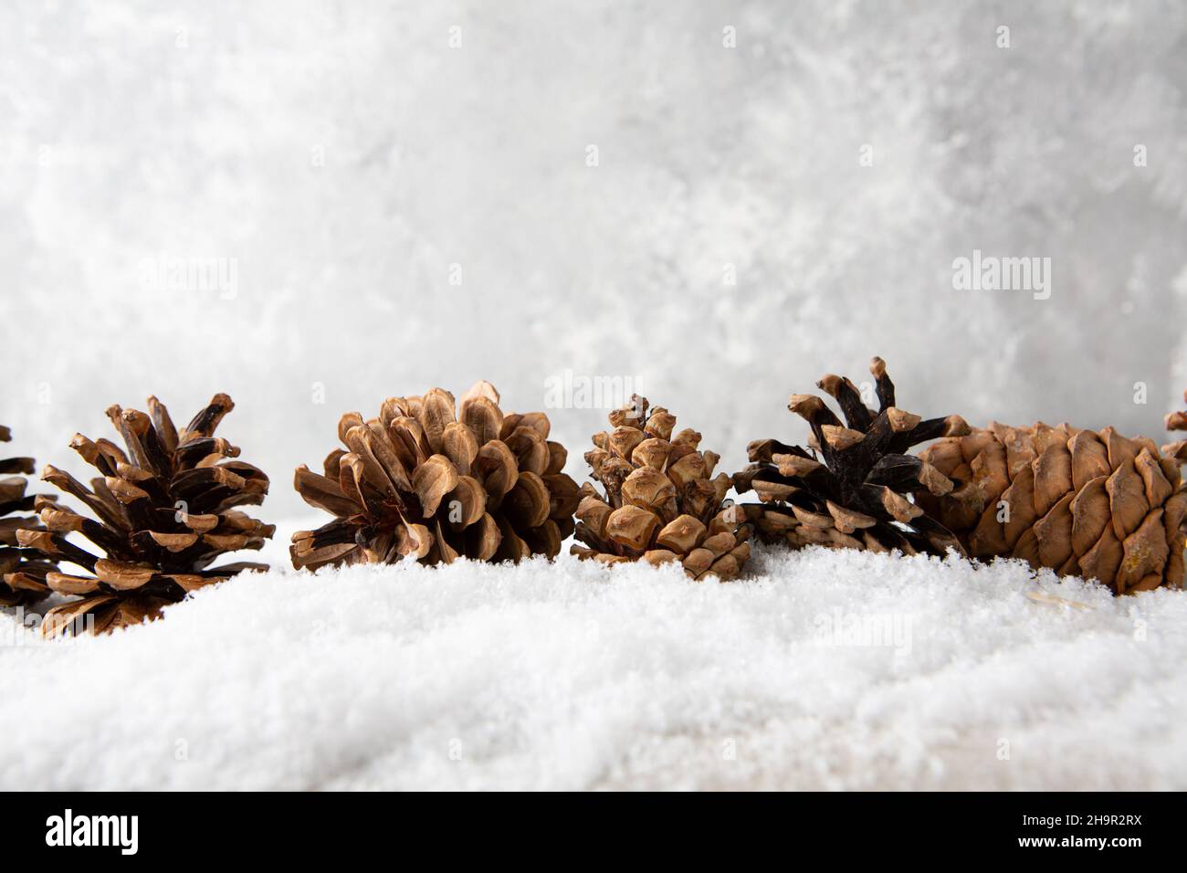 Natural Christmas background with pine cones Stock Photo
