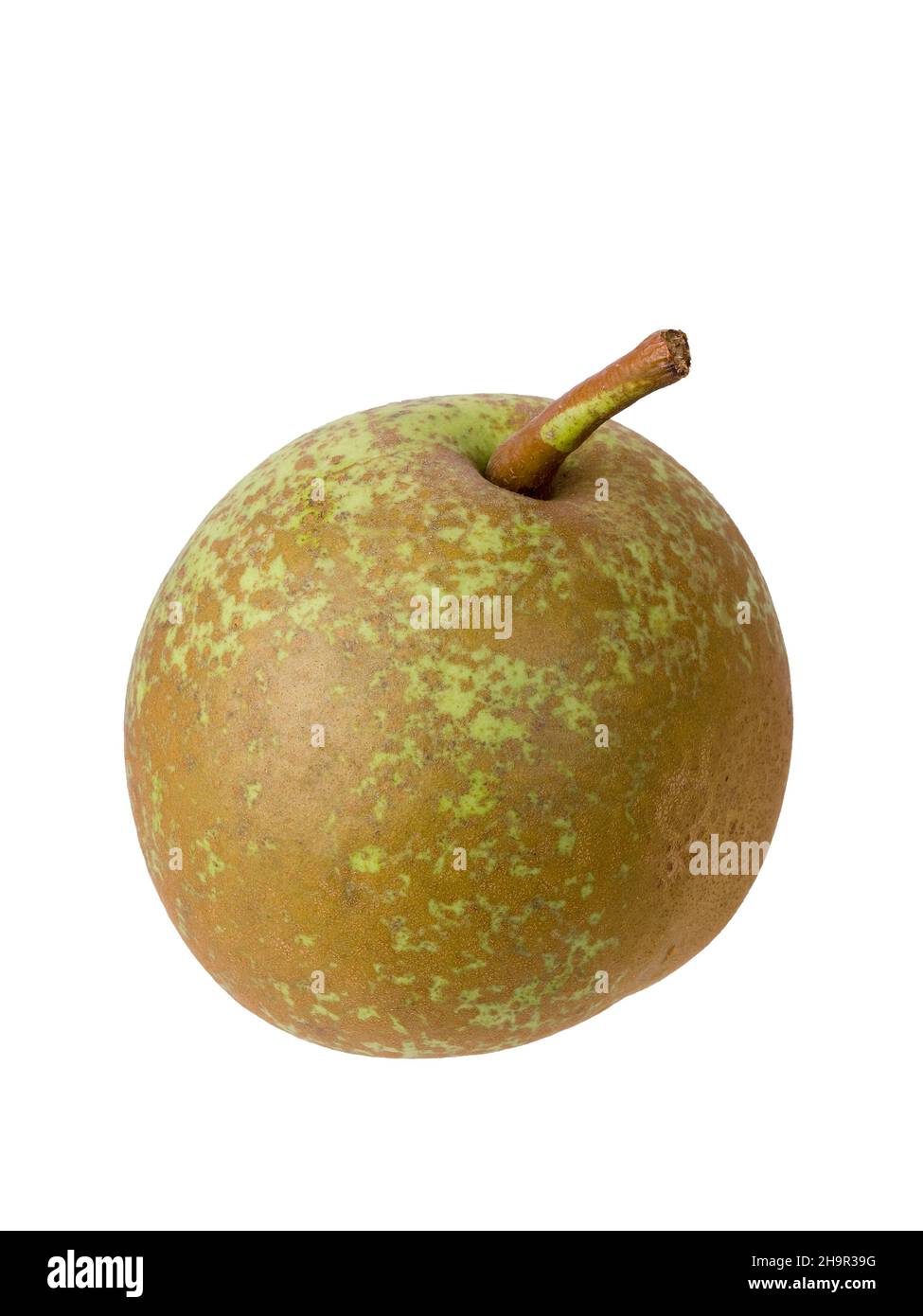 Pear variety Mrs. Luise Goethe, cutout Stock Photo