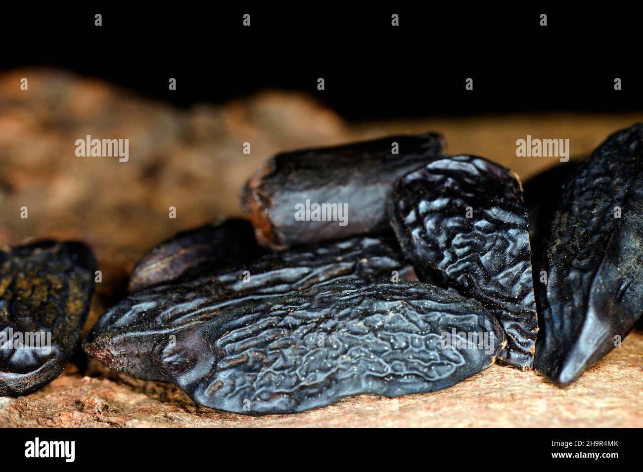 Tonka beans from the cumaru (Dipteryx odorata), studio photography with black background Stock Photo