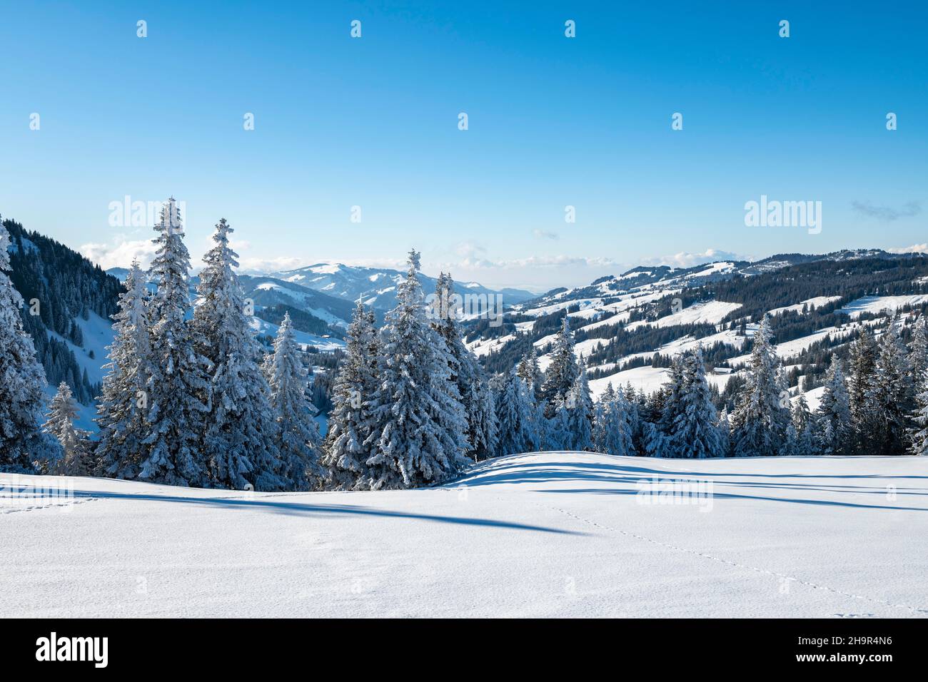 Gantrisch hi-res stock photography and images - Alamy