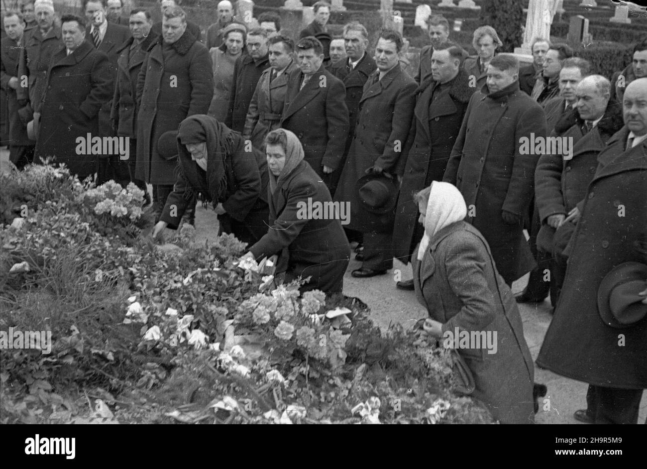 Wroc³aw, 1949-04-09. W dniach 2-14 kwietnia przebywa³a w Polsce delegacja ko³choŸników radzieckich. Wizyta na Dolnym Œl¹sku. Z³o¿enie kwiatów na cmentarzu ¿o³nierzy radzieckich. Nz. dojarka z ko³chozu Czerwona Gwiazda Maria Sawczenko (1P), ko³choŸnica z ko³chozu 12 paŸdziernik Praskowia Malinina (2P), Bohaterka Pracy Socjalistycznej Maria Chopta (3P). W pierwszym rzêdzie stoj¹ m.in.: przewodnicz¹cy delegacji radzieckiej przewodnicz¹cy ko³chozu Zdobycz PaŸdziernika Teodor Dubkowiecki (1P), delegat Kuncewicz (2P), przewodnicz¹cy ko³chozu im. Czka³owa na Ukrainie Aleksy Szczerbina (6P), brygadzis Stock Photo