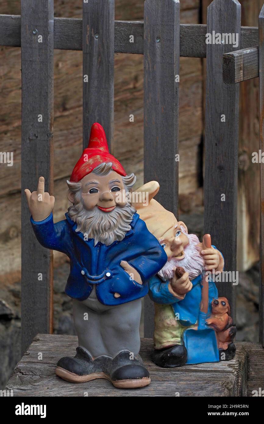 Garden gnome gives the finger Stock Photo Alamy