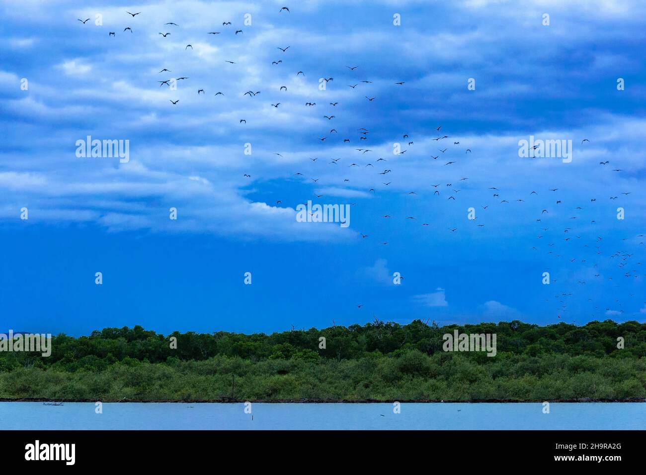 Dawn over shore pond hi res stock photography and images Alamy