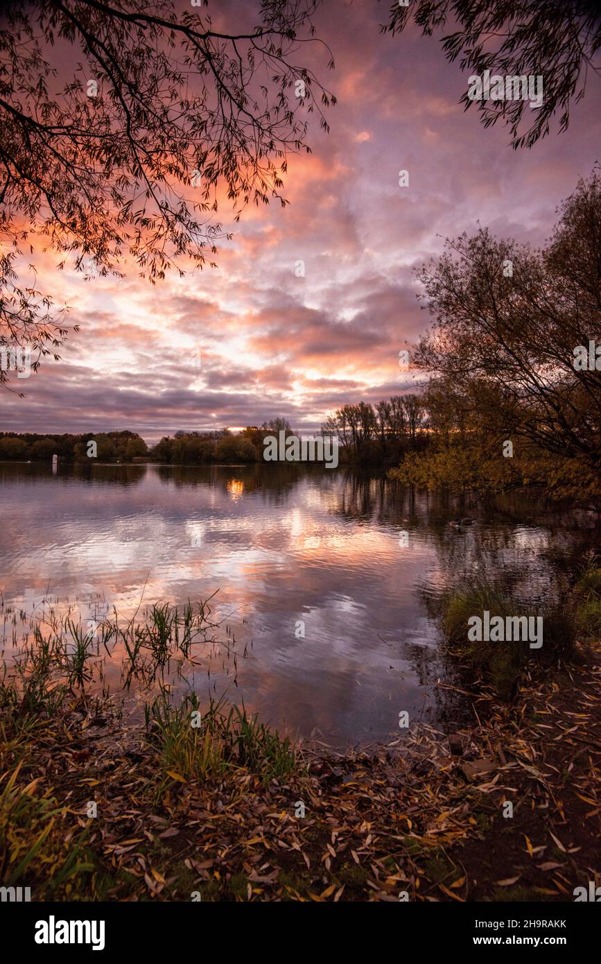 Autumn sunrise on the lake at Colwick Park, Nottinghamshire England UK ...