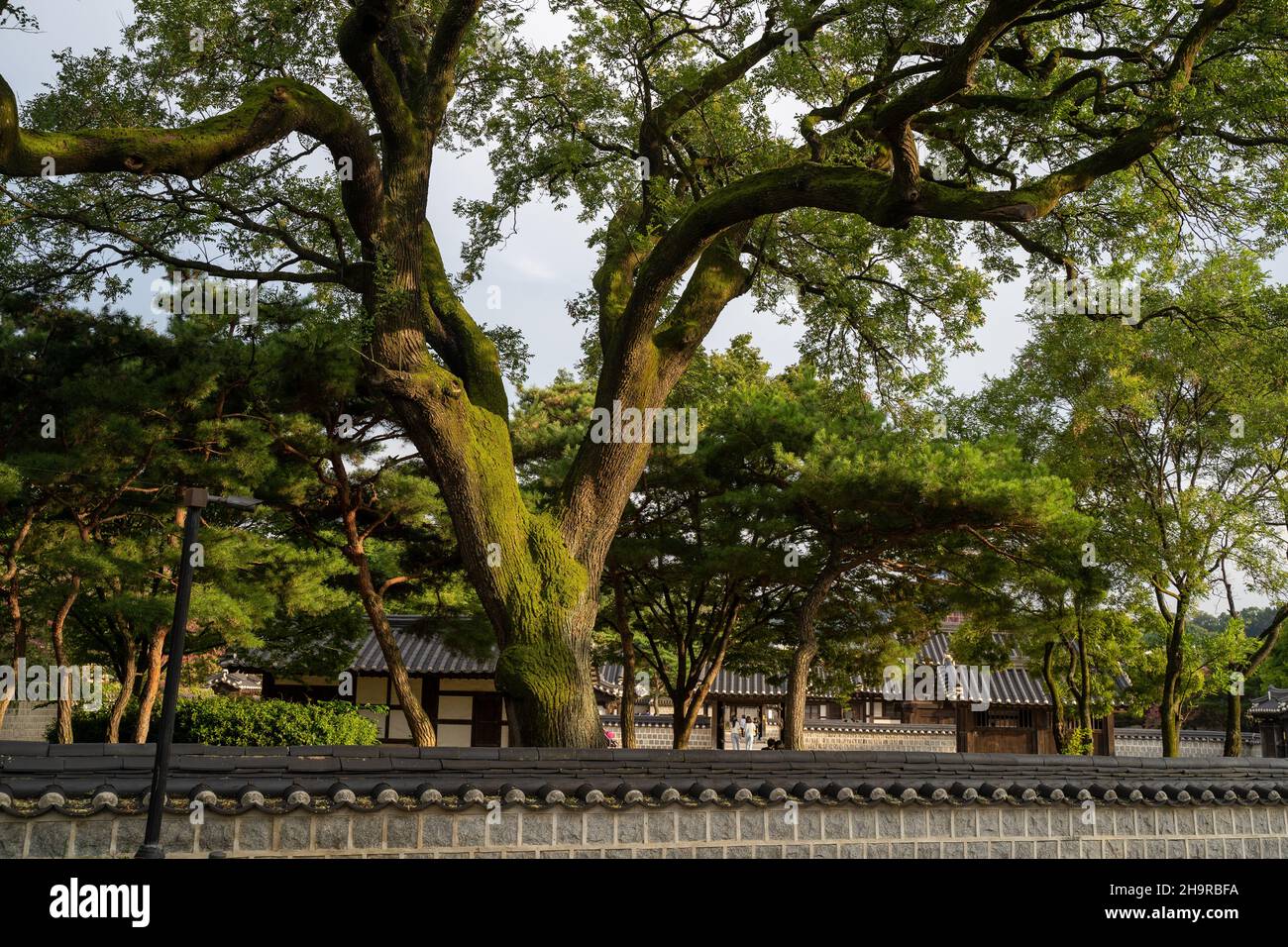 Traditional architecture of the Bukchon Hanok Village Stock Photo - Alamy