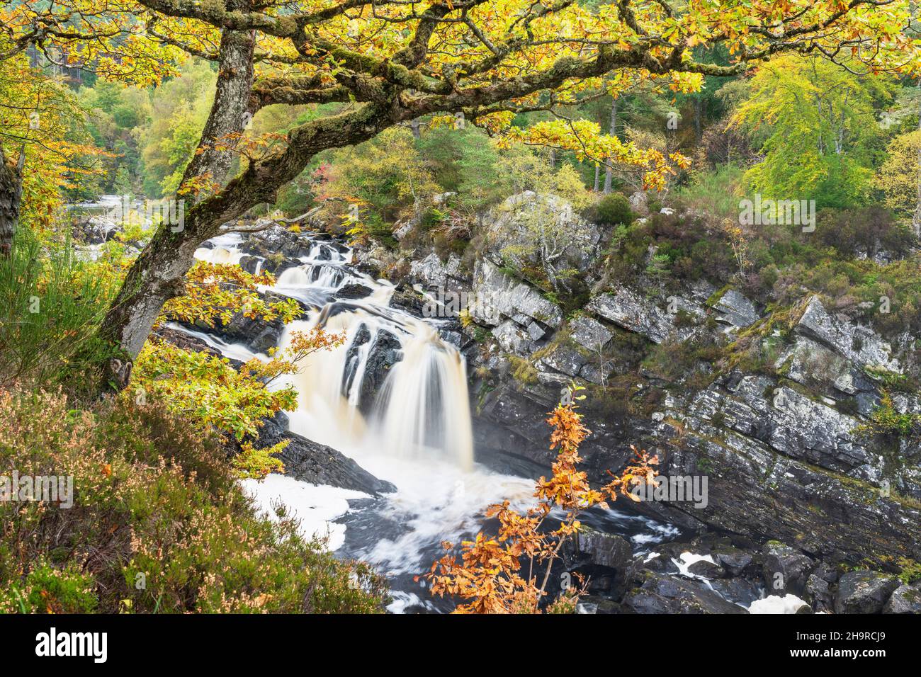 Autumn colours along the Black Water River, Ross-Shire, North West Highlands, Scotland Stock Photo