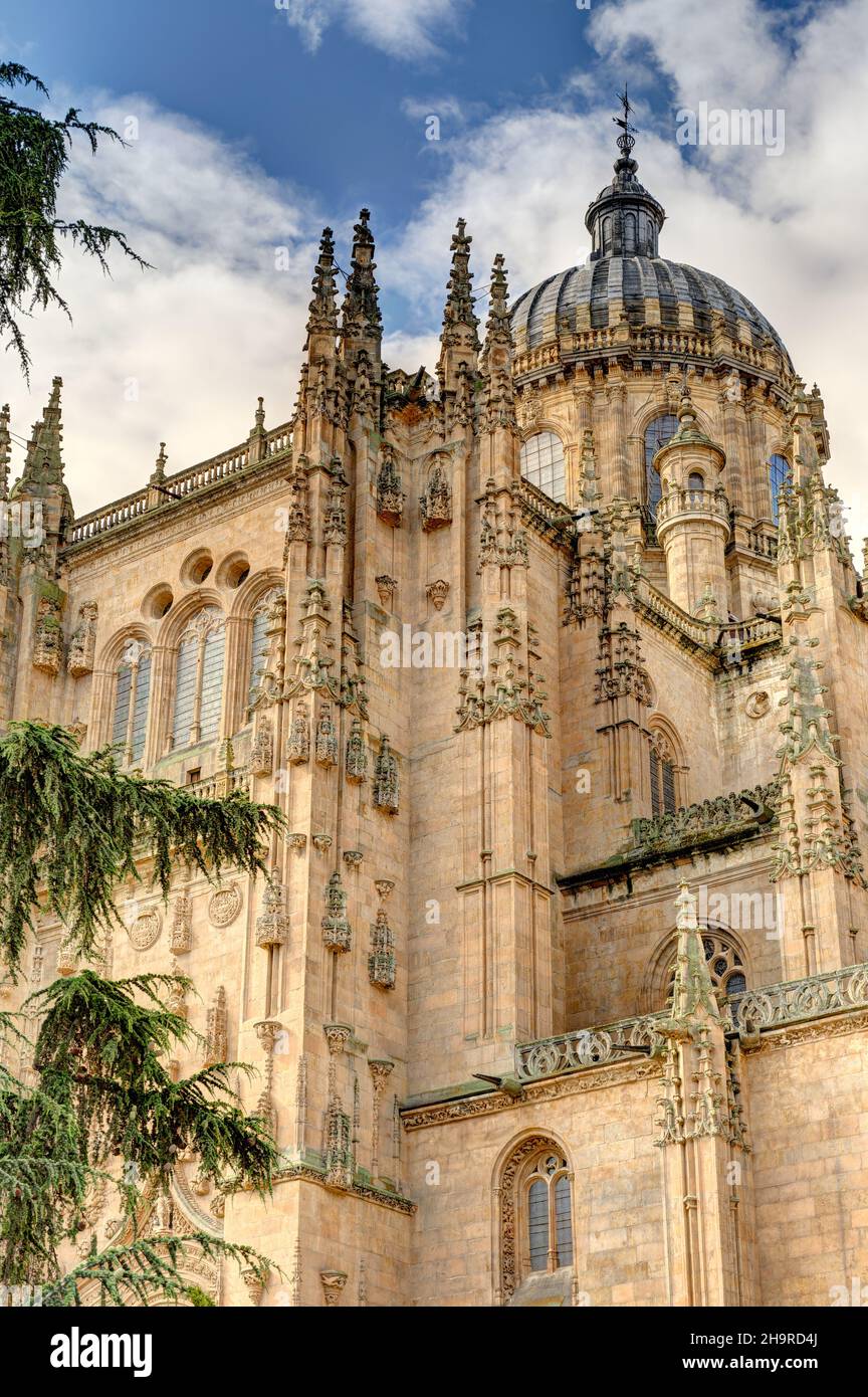 Salamanca Cathedral Stock Photo Alamy
