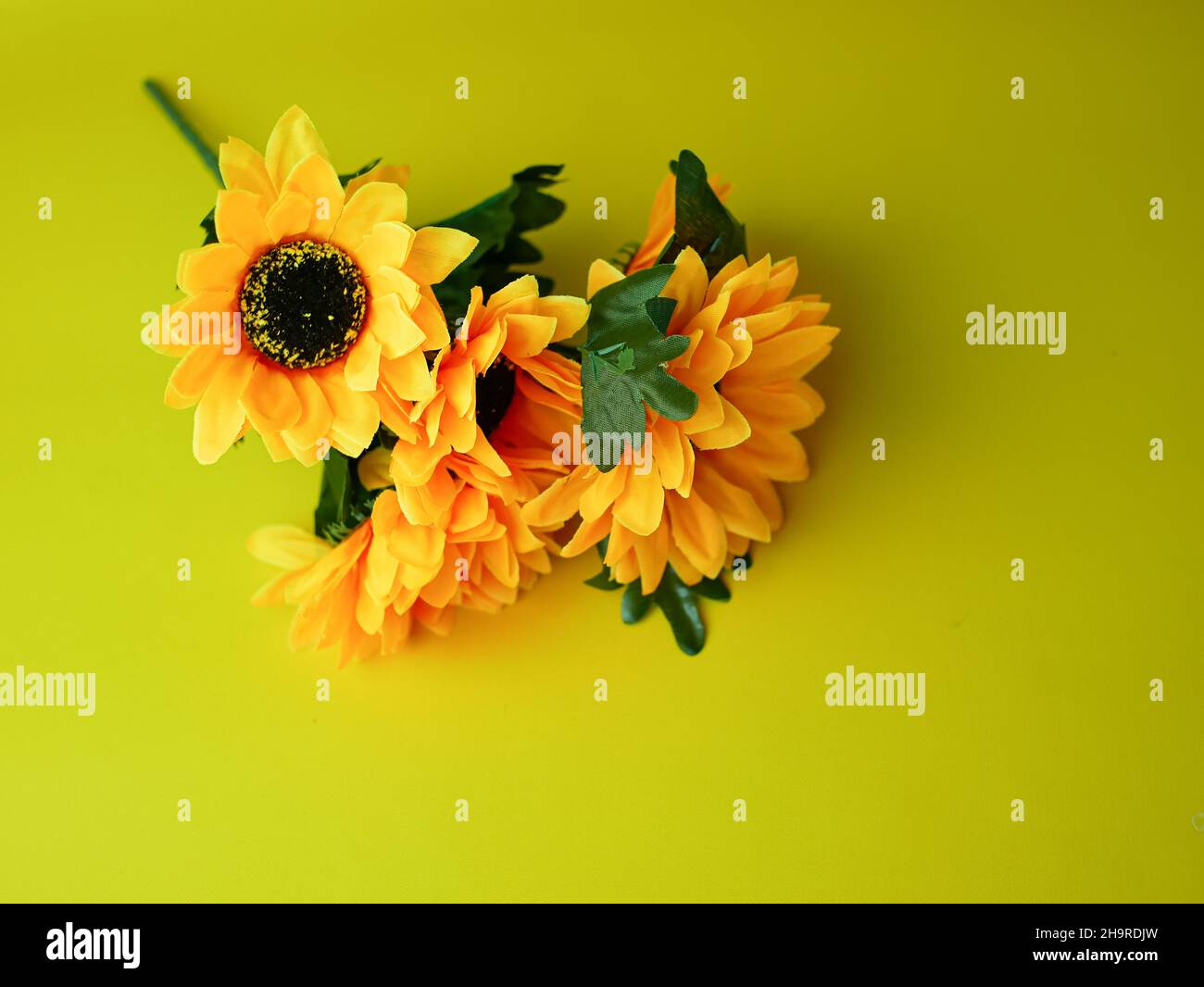 artificial sunflower for decoration isolated on yellow background Stock Photo