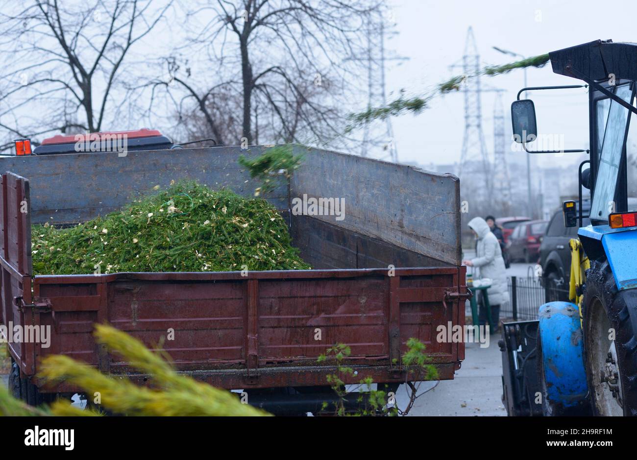 Wood chipper throwing waste on a pile of chips on the trailer