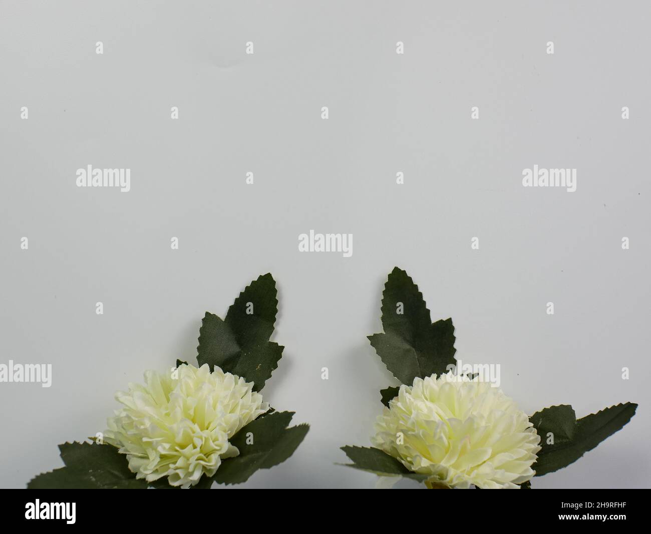 Artificial white carnation flower with copy space on a white background