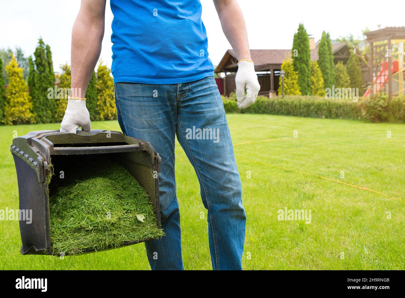 A gardener with a container of cut grass on a sunny summer day. Garden cleanup. Stock Photo