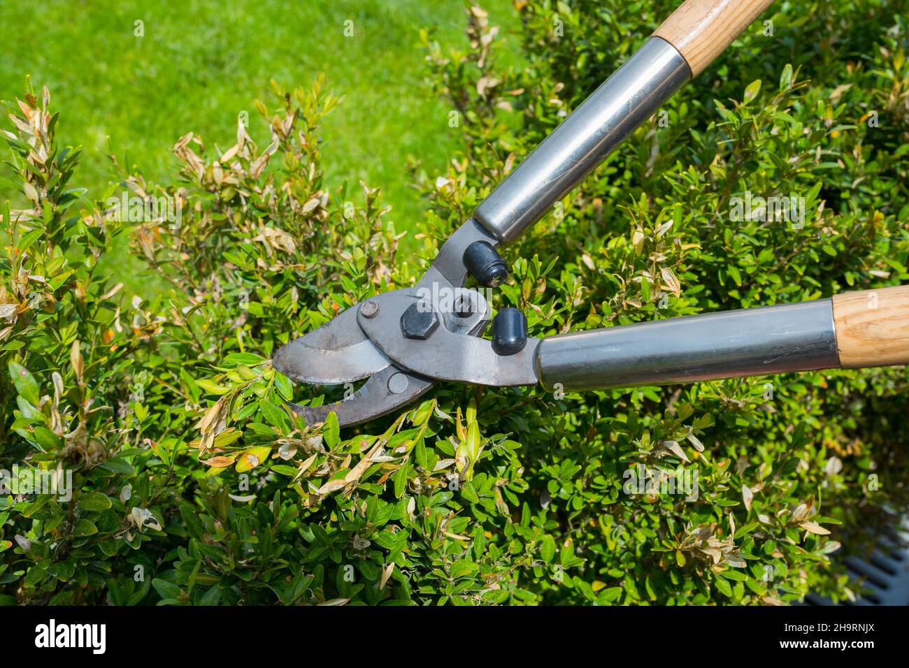 Hand on a gardening tool hires stock photography and images Alamy