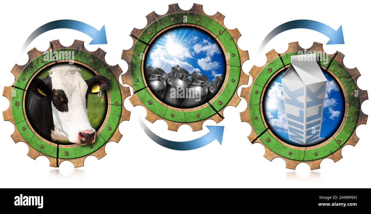 Three wooden gears with head of cow, steel cans for milk and white packaging carton of milk. Concept of the milk processing Stock Photo