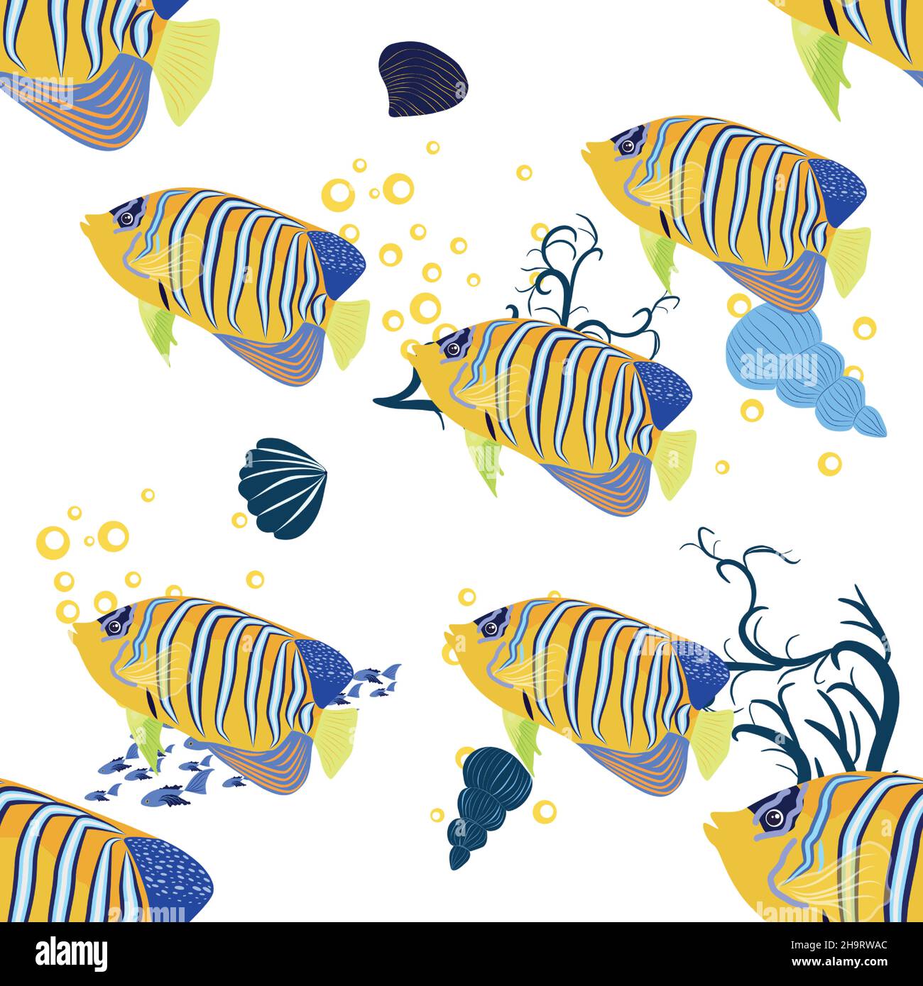Emperor angelfish, Pomacanthus imperator seamless patterns, sea animal ...