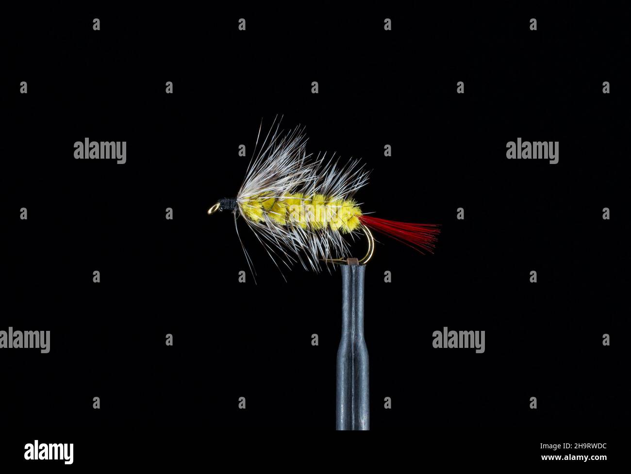 Fly Fishing Streamers Stock Photo Alamy