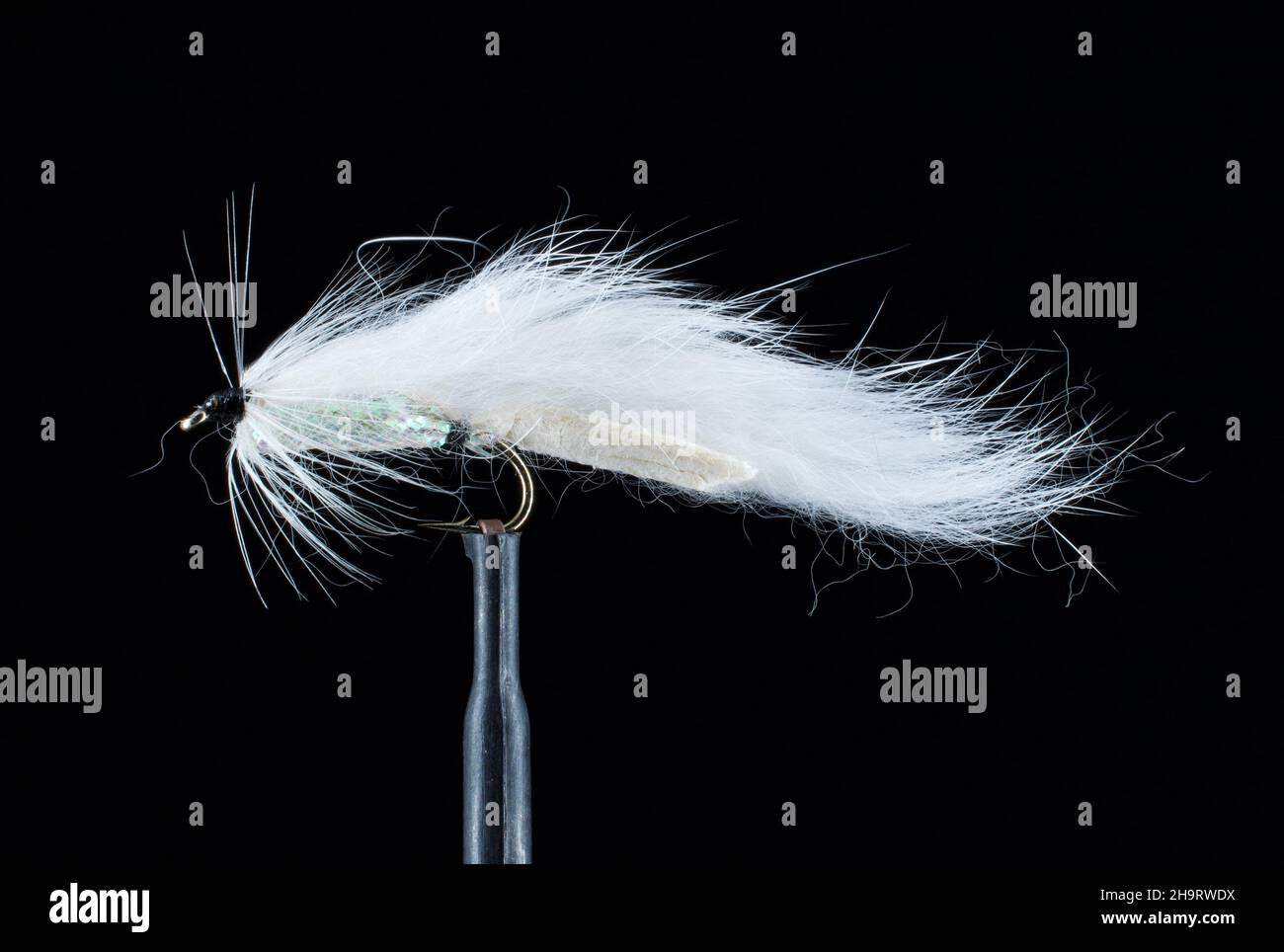 Fly Fishing Streamers Stock Photo Alamy