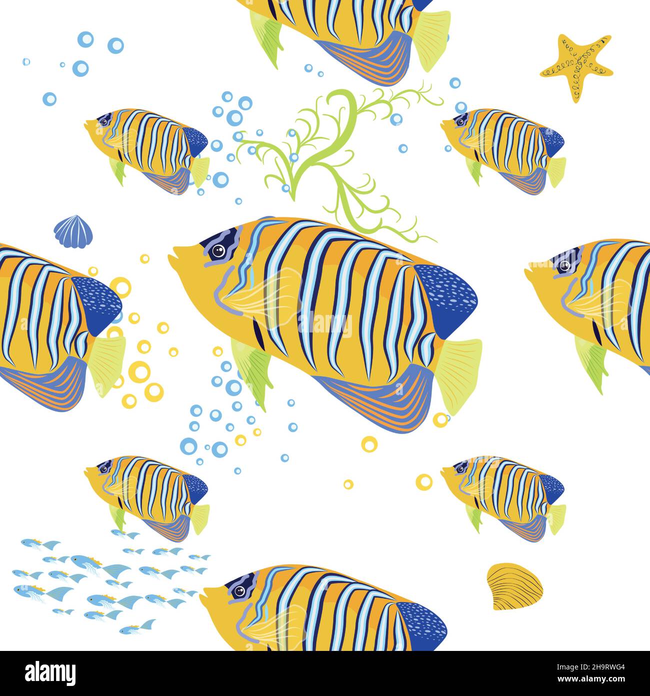 Emperor angelfish, Pomacanthus imperator seamless patterns, sea animal wildlife character. Nature underwater, marine wild ocean zoo fish Stock Vector