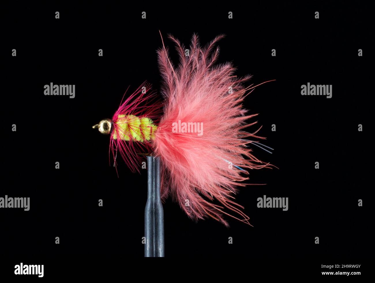 Fly Fishing Streamers Stock Photo Alamy