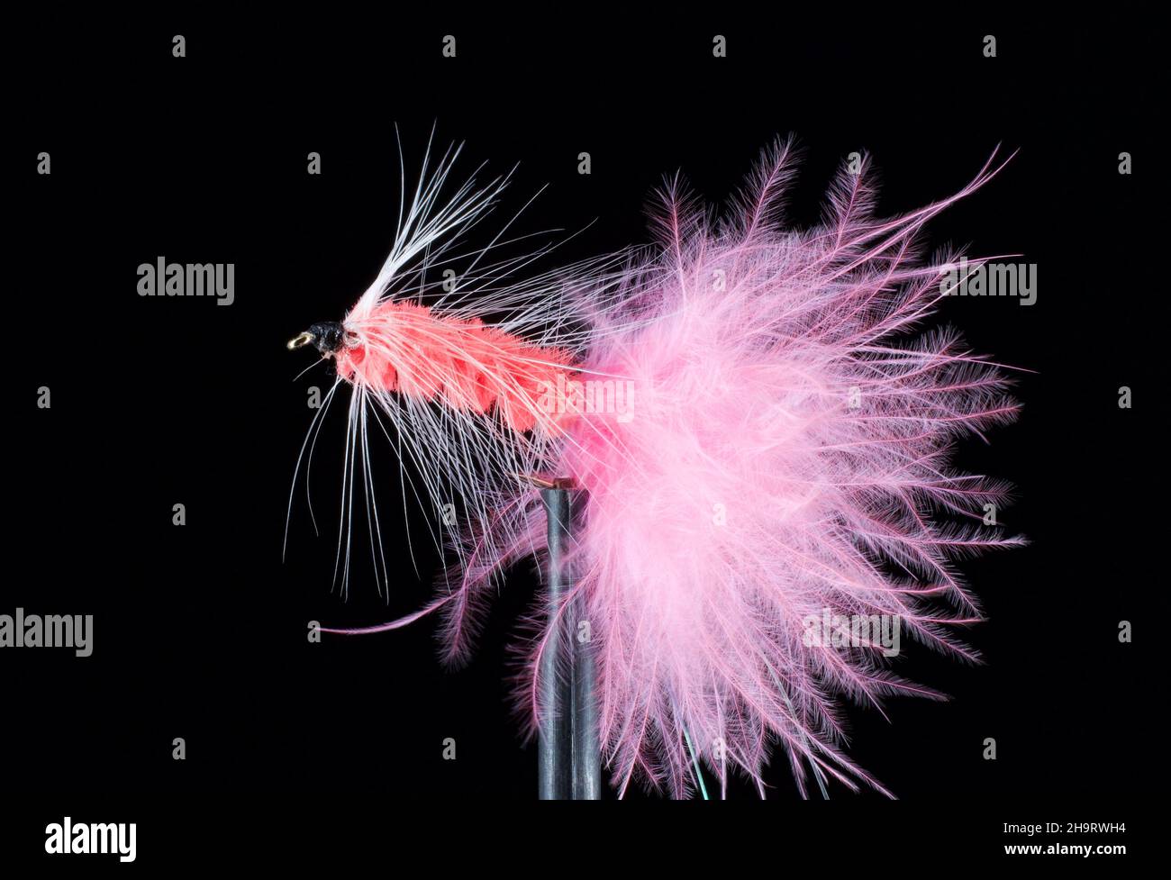 Fly Fishing Streamers Stock Photo Alamy