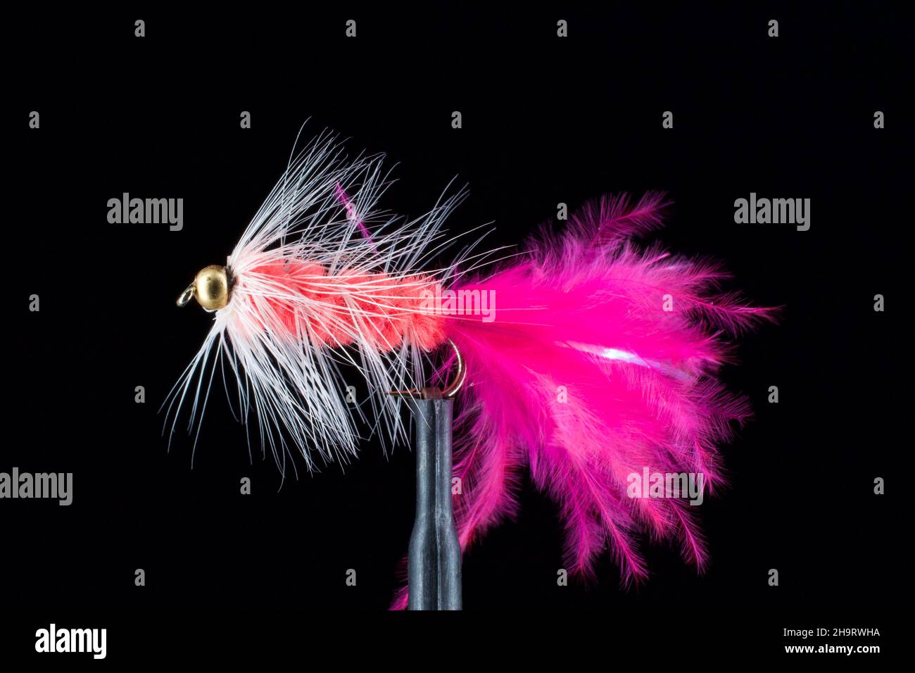 Fly Fishing Streamers Stock Photo Alamy