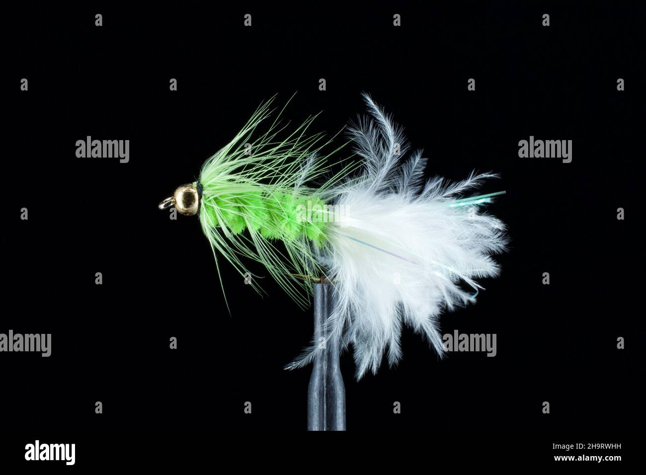 Fly Fishing Streamers Stock Photo Alamy