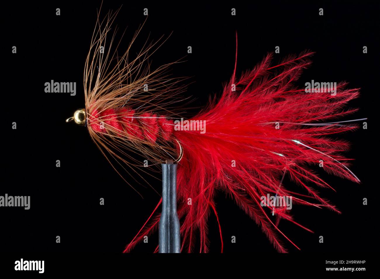 Fly Fishing Streamers Stock Photo Alamy